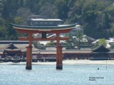 62.Miyajima