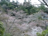 64.Miyajima