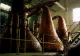 lagavulin pot stills